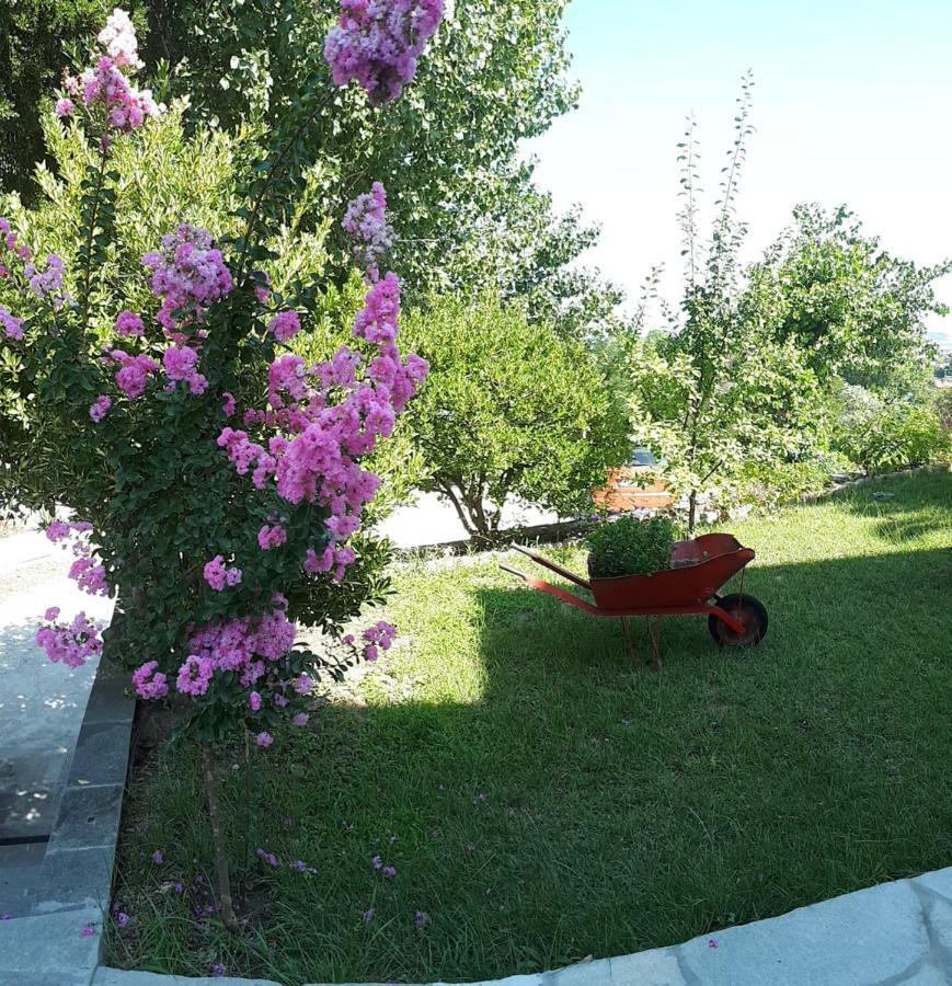 Studios Thea Fresh Rooms Thassos Exteriör bild