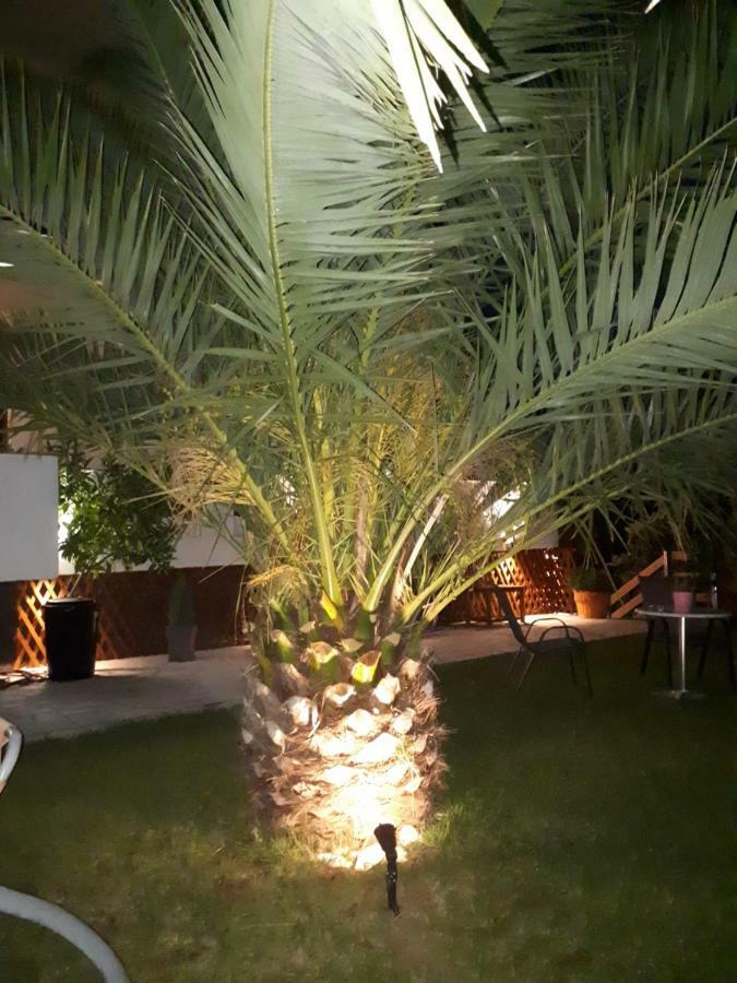 Studios Thea Fresh Rooms Thassos Exteriör bild